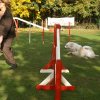 agility 2011-10-30